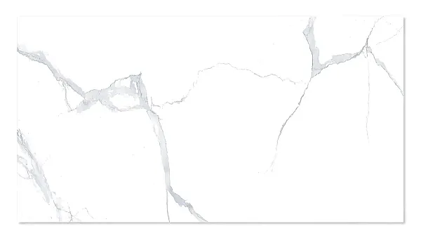 WINGRESS πλακάκι WNC-BELEN-WHITE, 120x60cm, glossy finish, belen white, 2τμχ 1.44m²