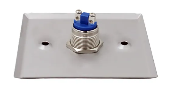 SECUKEY Χωνευτό μπουτόν SCK-CBUTTON2, 3Α, ασημί