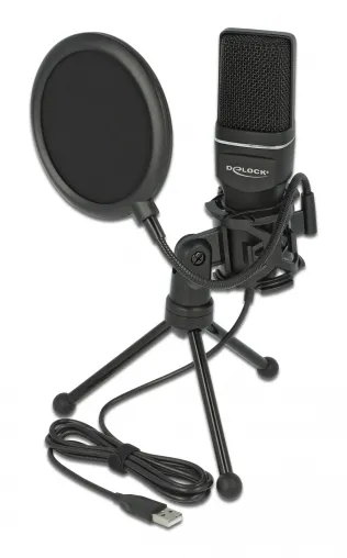 DELOCK Mικρόφωνο studio με pop φίλτρο & αντιανέμιο 66331, πυκνωτικό, USB