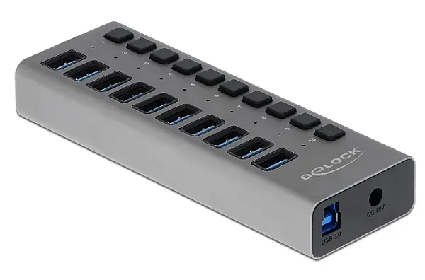 DELOCK USB hub 63670 με διακόπτες, 10x θυρών, 5Gbps, γκρι